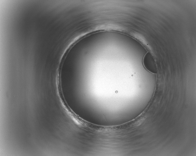 X0000069411040200605262204