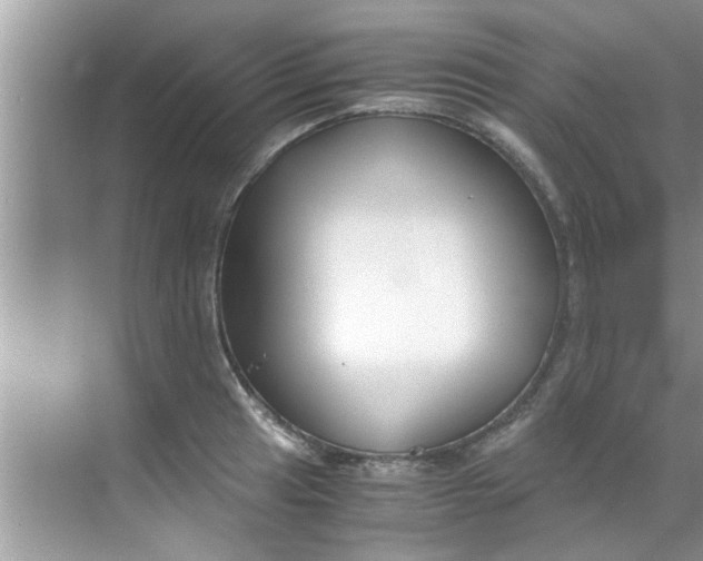 X0000069411041200605262204