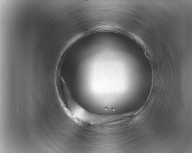 X0000069411042200605262204