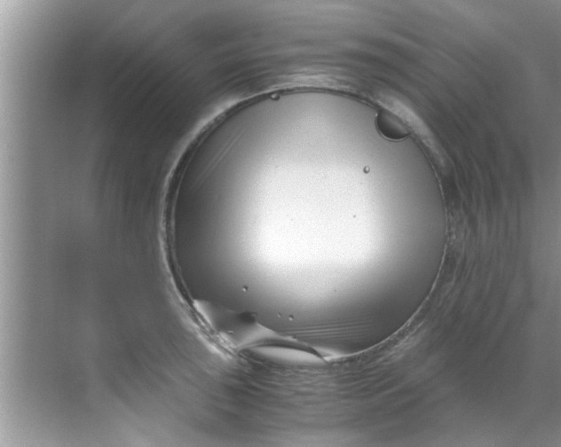 X0000069411043200605262204