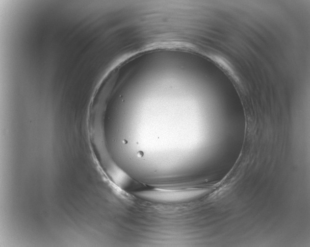 X0000069411046200605262204