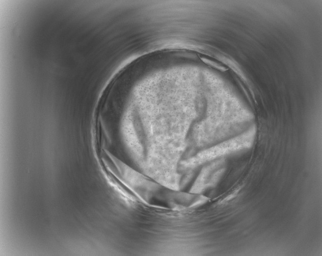 X0000069411048200605262204