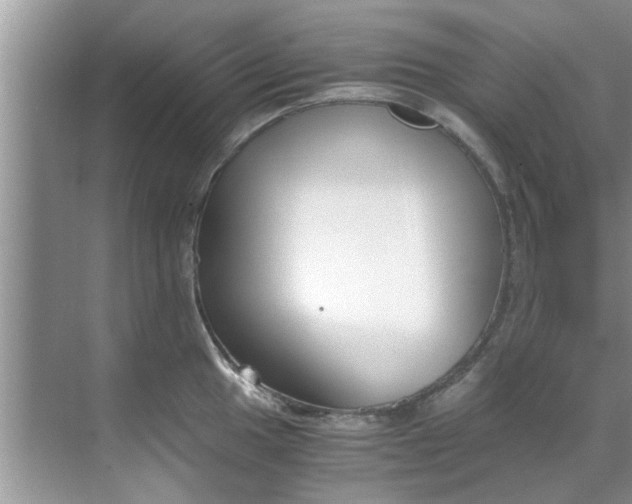 X0000069411049200605262204