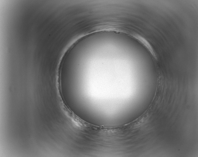 X0000069411051200605262204