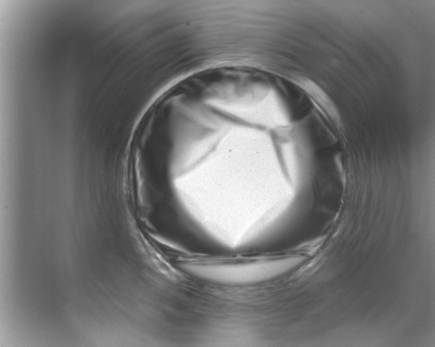 X0000069411052200605262204