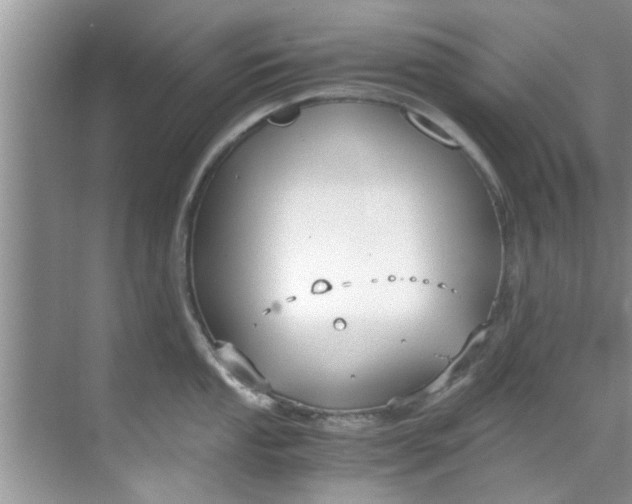 X0000069411053200605262204