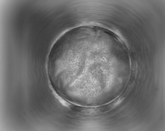 X0000069411054200605262204