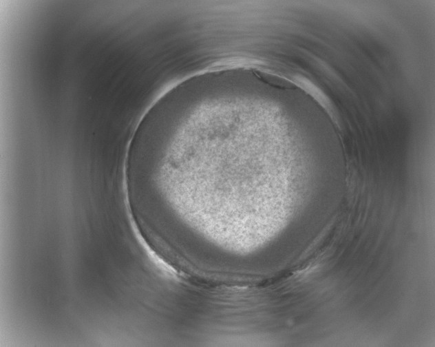 X0000069411055200605262204