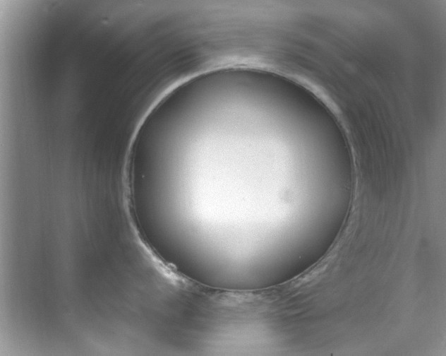 X0000069411056200605262204