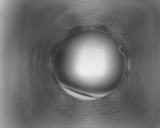 X0000069411059200605262203