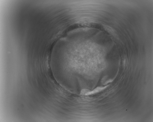 X0000069411060200605262203