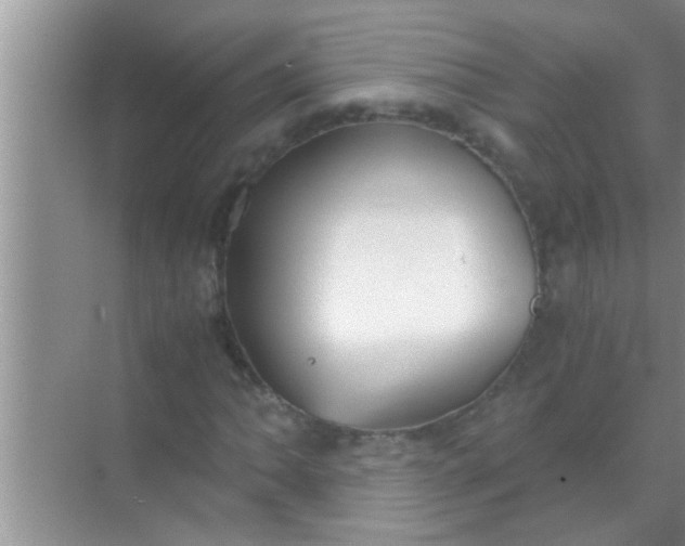 X0000069411062200605262203