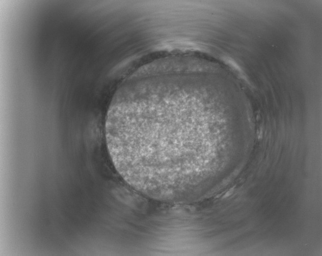 X0000069411063200605262203