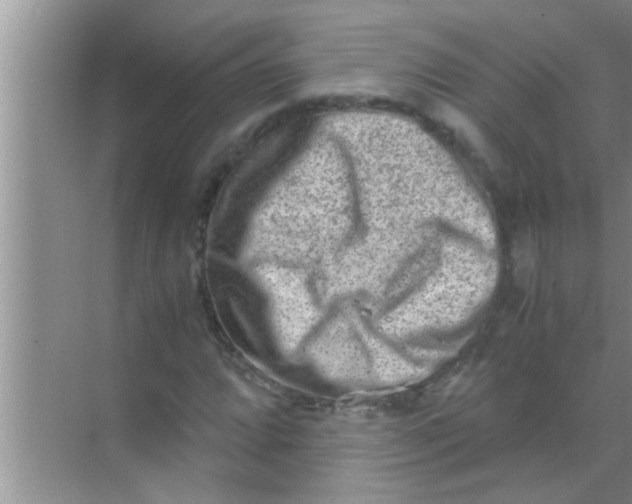 X0000069411064200605262203