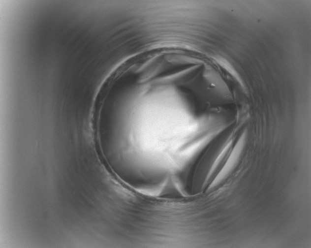 X0000069411068200605262203