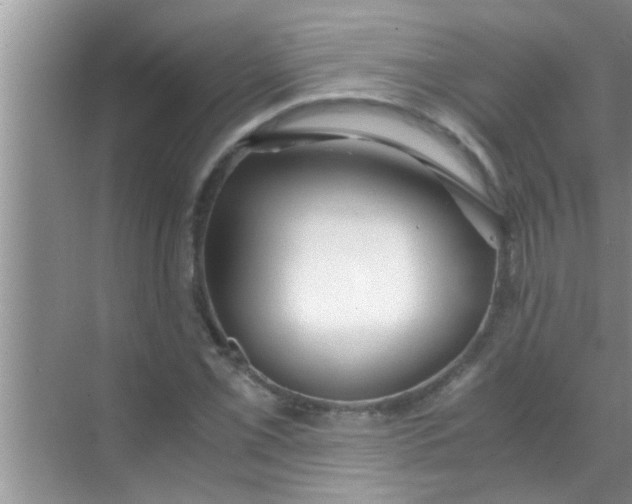 X0000069411069200605262203