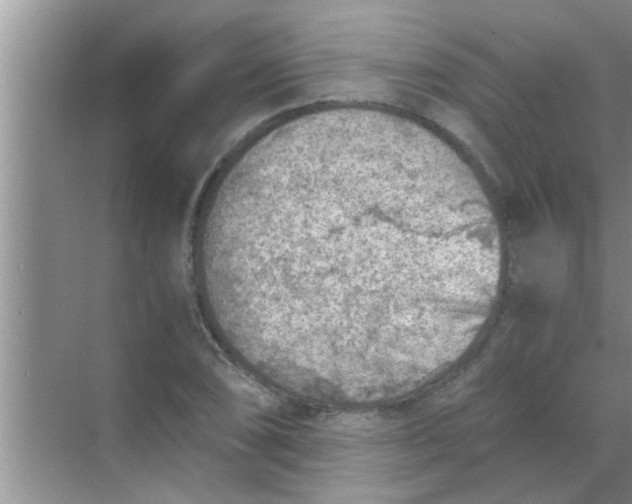 X0000069411074200605262203