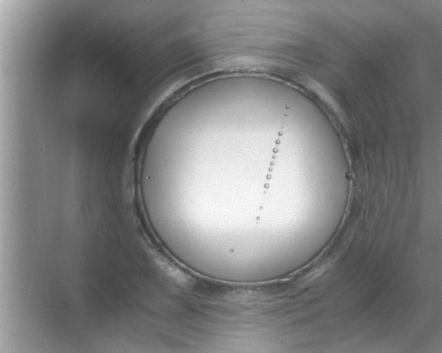 X0000069411075200605262203