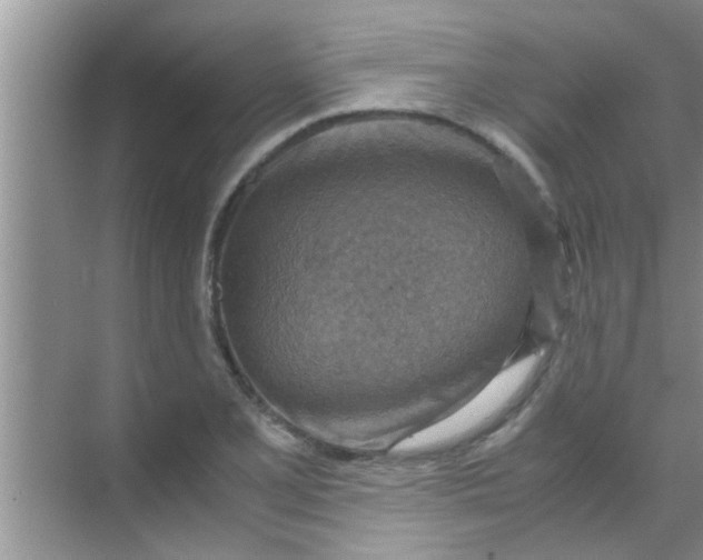 X0000069411077200605262203