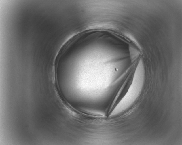 X0000069411079200605262203