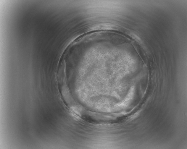 X0000069411081200605262203