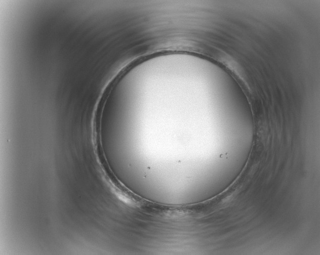 X0000069411082200605262203