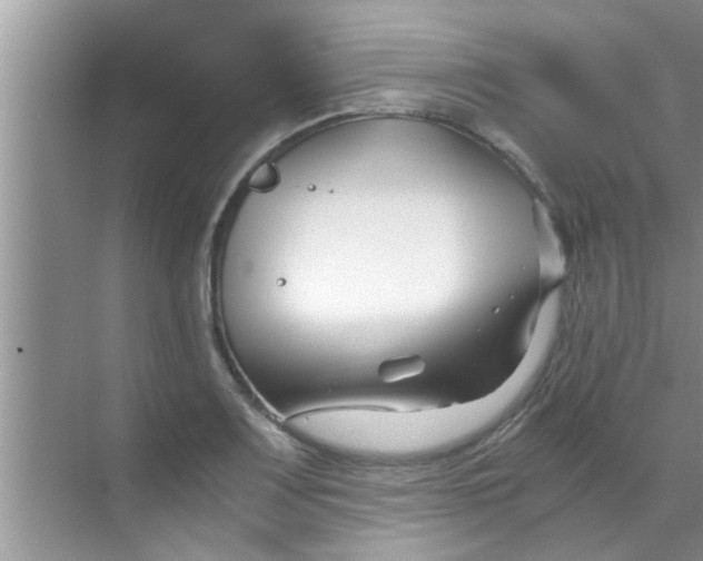 X0000069411083200605262203