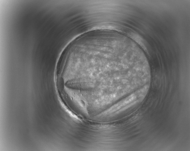 X0000069411084200605262203