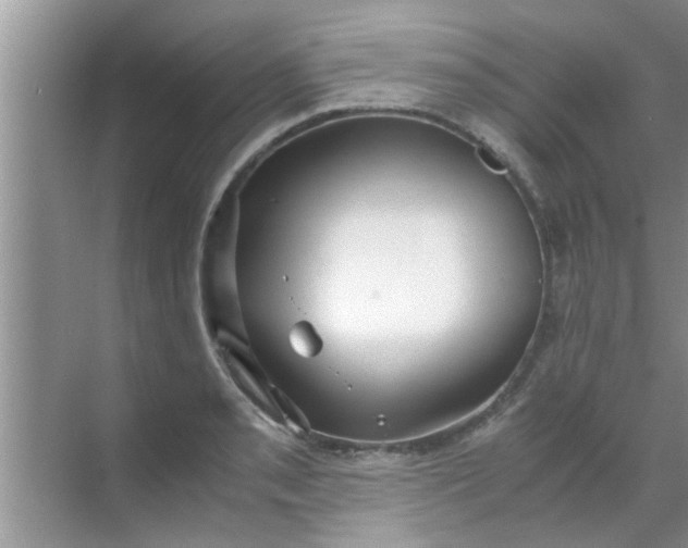 X0000069411085200605262203