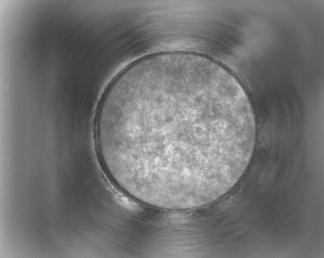 X0000069411086200605262203