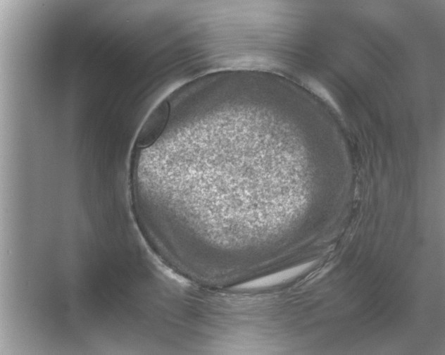 X0000069411087200605262202