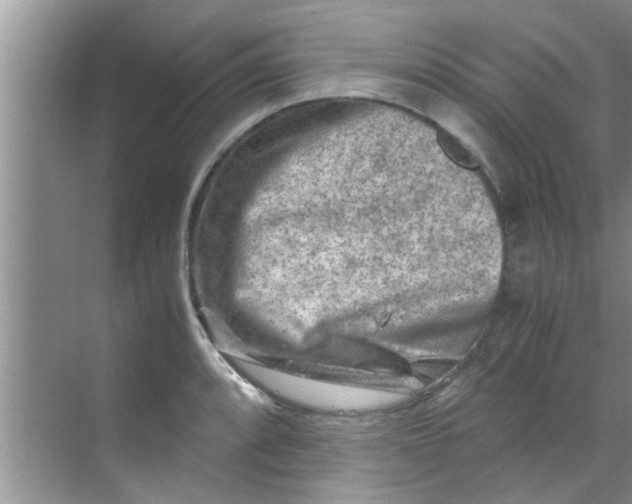 X0000069411088200605262202