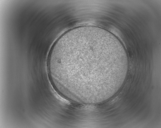 X0000069411090200605262202