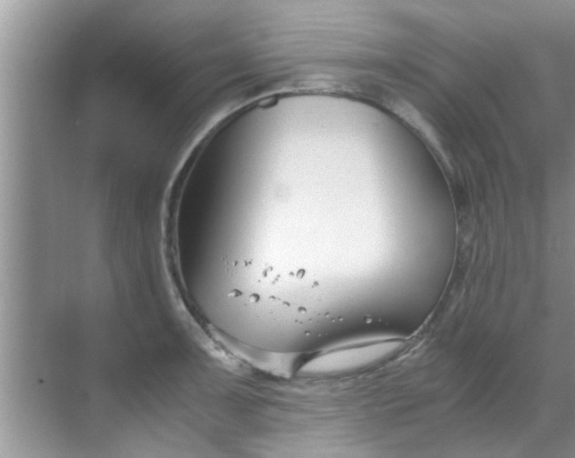 X0000069411091200605262202