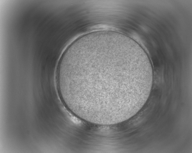 X0000069411098200605262202