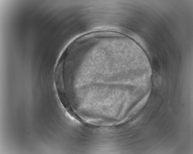 X0000069411102200605262202