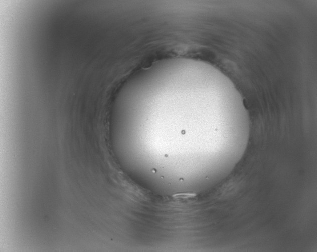 X0000069411105200605262201