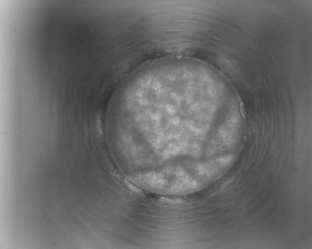 X0000069411106200605262201