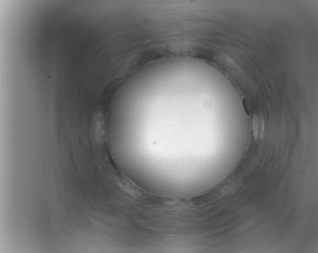 X0000069411107200605262201