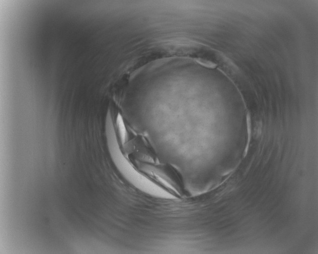 X0000069411108200605262201