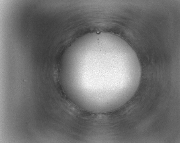 X0000069411109200605262201