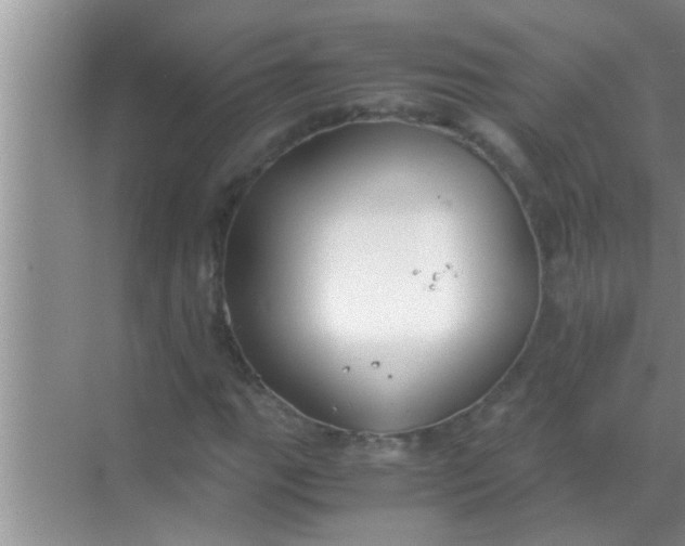 X0000069411111200605262201