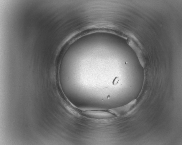 X0000069411114200605262202