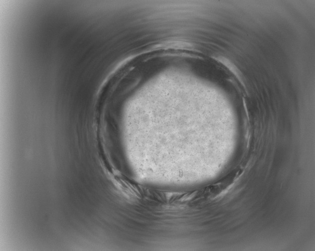 X0000069411115200605262202