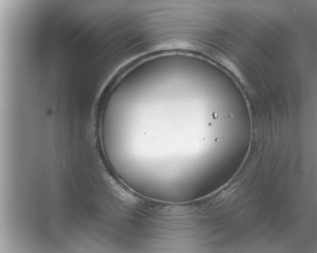 X0000069411116200605262202