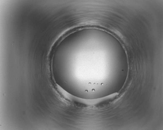 X0000069411118200605262202