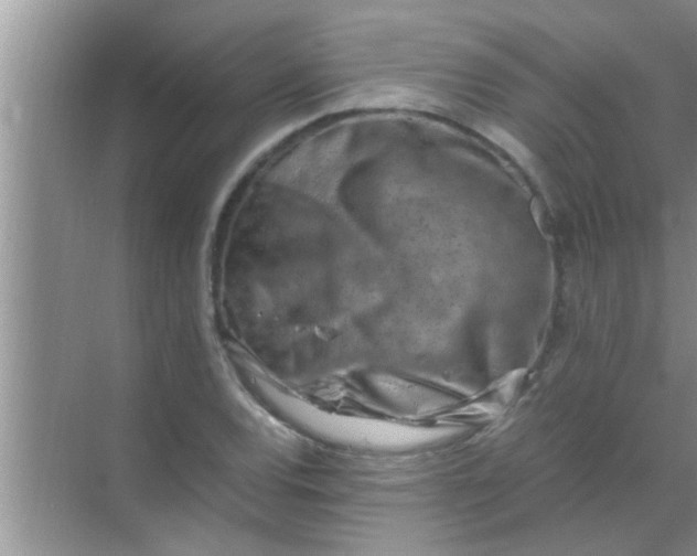 X0000069411120200605262202