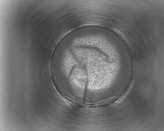 X0000069411121200605262202