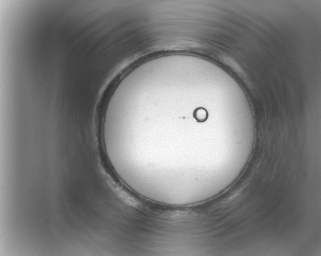 X0000069411122200605262202