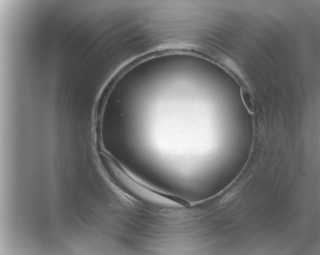 X0000069411124200605262202